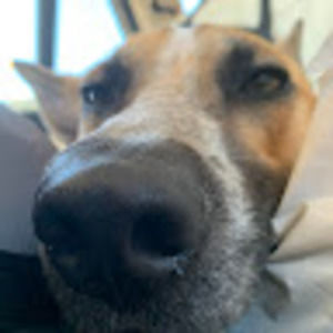 Meet your Posher, Jack